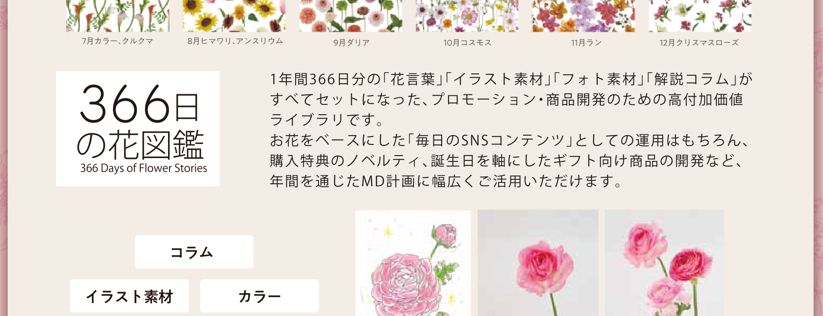 366日の花図鑑